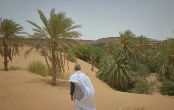 الجفاف يلتهم واحات النخيل في موريتانيا
