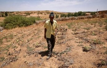 الجفاف يفاقم البطالة في الأرياف المغربية