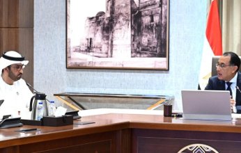 مصر تكشف عن دعم إماراتي لحل مشكلة الكهرباء