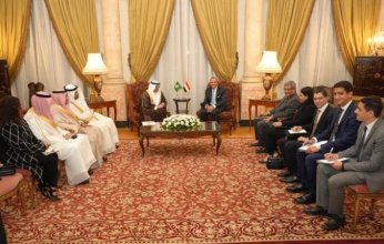 عبد العاطي: أمن الخليج.. «مصلحة مصرية مباشرة» (صور)