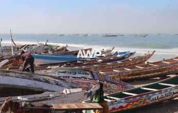 موريتانيا تطرق بوابة البرازيل لتوسيع صادرات الأسماك