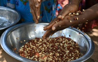 أمل طبي جديد لمرضى حساسية الفول السوداني