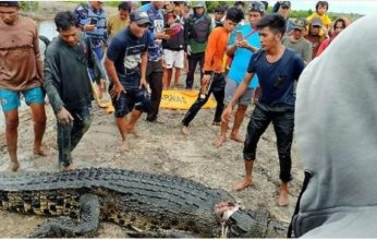 العثور على بقايا امرأة في جوف تمساح
