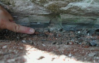 كويكب مجهول يحل لغز انقراض الديناصورات