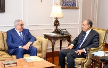 لماذا يزور وزير الخارجية اللبناني مصر؟