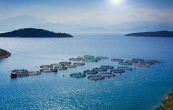 أبو ظبي تطلق مشروعا لاستزراع الأحياء المائية بالذكاء الاصطناعي