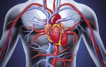 تطوير برمجيات تساعد في تشخيص أمراض الأوعية الدموية