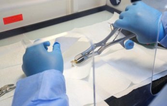 إعادة تكوين أقدم جينوم بشري في جنوب إفريقيا