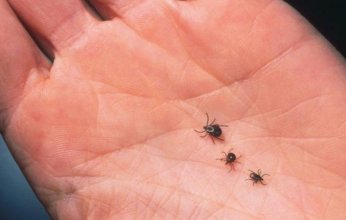 الصين مصدر لفيروس غامض جديد يثير مخاوف العالم.. ماذا عن سرعة انتشاره وطرق الوقاية؟