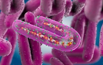 فيروس جديد يهدد العالم.. ماذا تعرف عن "ماربورغ" وما أعراضه وطرق انتقاله للبشر؟
