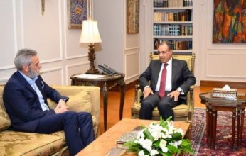 وزير الخارجية المصري يؤكد إدانة بلاده للإجراءات الإسرائيلية في شمال غزة