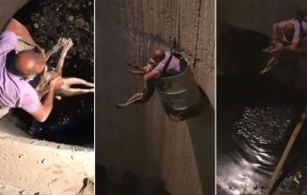 بالفيديو.. شاب يخاطر بحياته لإنقاذ كلب من بئر عمقه 20 مترا