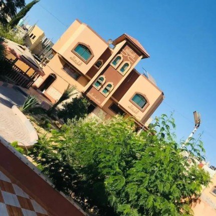 khaligyoun41796