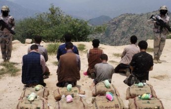 حرس الحدود ينجح في ضبط 8 أشخاص بحوزتهم كمية من نبات القات المخدر بجازان