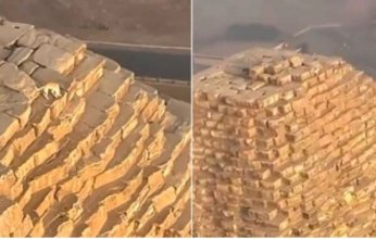 أصبح حديث العالم.. كلب يتسلق قمة الهرم الأكبر في مصر يثير الجدل(فيديو)