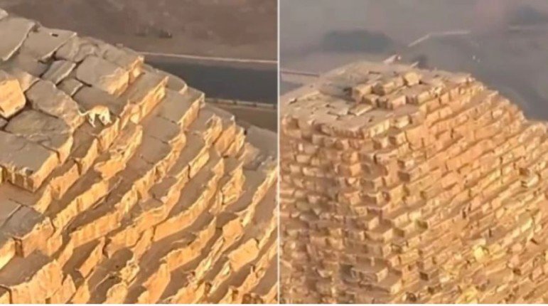 أصبح حديث العالم.. كلب يتسلق قمة الهرم الأكبر في مصر يثير الجدل(فيديو) أصبح حديث العالم.. كلب يتسلق قمة الهرم الأكبر في مصر يثير الجدل(فيديو)