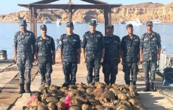 مصر تحبط محاولة تهريب كميات من المواد المخدرة داخل البلاد