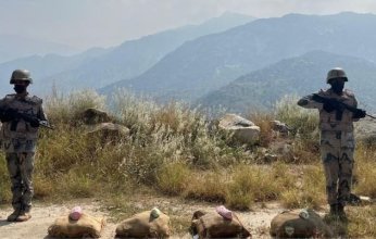 إحباط محاولة تهريب كمية من نبات القات المخدر بمنطقة جازان