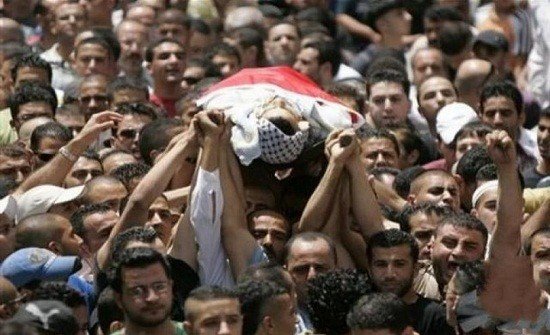 11 ألفا و406 طالب فلسطينى استشهدوا منذ بداية العدوان الإسرائيلى 11 ألفا و406 طالب فلسطينى استشهدوا منذ بداية العدوان الإسرائيلى