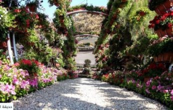 مصر.. الزراعة تكشف حقيقة قطع الأشجار النادرة بحديقة الأورمان