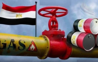10.5 مليار دولار حجم استيراد مصر من الوقود خلال 9 اشهر ماضية