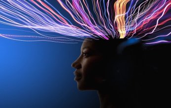 دراسة تكشف أن أدمغتنا تقسم التجارب اليومية إلى «فصول».. ما القصة؟
