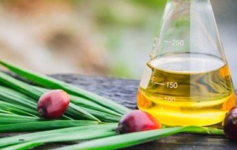 دراسة حديثة تحذر: زيت النخيل به مركبات سامة تهدد الخلايا العصبية