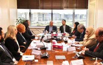 مصر تبحث إقامة مصنع لإنتاج أخشاب الفايبر بورد.. ما التفاصيل؟