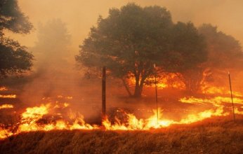 تلوث الهواء الناتج عن الحرائق يودي بحياة 1.5 مليون شخص سنوياً