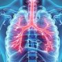 طرق طبيعية للحفاظ على صحة الرئة.. تعرف عليها 1 khaligyoun13548