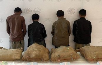القبض على 4 أشخاص لتهريبهم (80) كيلوجرامًا من نبات القات المخدر في عسير