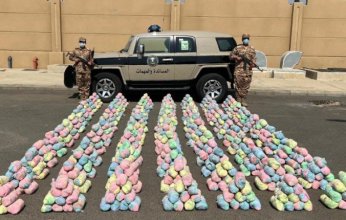 السعودية.. إحباط محاولة تهريب كمية كبيرة من نبات القات المخدر في جازان