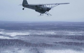 خاص| «طائر أم طائرة؟».. مبادرة فريدة لإسقاط الديوك المجمدة جوًا في ألاسكا.. ما القصة؟