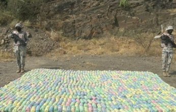 إحباط محاولة تهريب كمية من نبات القات المخدر في جازان