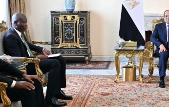 الرئيس المصري يستقبل وزير العلاقات الدولية والتعاون الدولي بجنوب إفريقيا