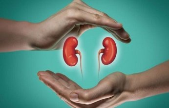 هذه الأطعمة تضر بصحة الكلى.. تجنب تناولها للوقاية من الأمراض