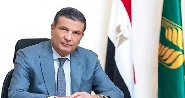 مصر تستهدف زراعة 3.1 مليون فدان قمح وزيادة الإنتاج لـ25 إردبا.. ما التفاصيل؟ مصر تستهدف زراعة 3.1 مليون فدان قمح وزيادة الإنتاج لـ25 إردبا.. ما التفاصيل؟