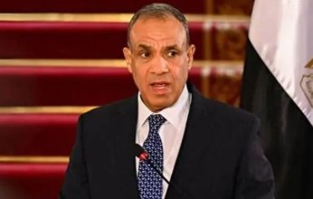 وزير الخارجية المصري: الوضع في الشرق الأوسط على شفير الانفجار بسبب الانتهاكات الإسرائيلية