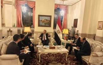 وزير خارجية مصر: نسعي لإنتاج 10 ملايين طن من الأمونيا الخضراء من خلال تعزيز الاستثمارات الأجنبية