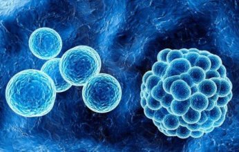 اكتشاف طفرة جينية قد تساعد على إبطاء نمو أنواع أخرى من السرطان