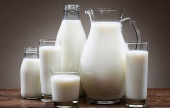 بسبب إنفلونزا الطيور.. الحكومة الأميركية تأمر باختبار الألبان