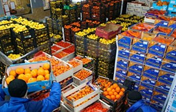 18% ارتفاعا في صادرات المواد الغذائية المصرية الى الأسواق العالمية