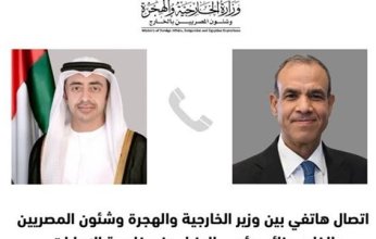 اتصالات هاتفية لوزير خارجية مصر مع نظرائه من الإمارات والأردن والعراق والجزائر
