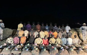 إحباط محاولة تهريب كمية كبيرة من نبات القات المخدر بمنطقة جازان