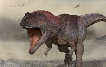 بالفيديو.. هل عاشت الديناصورات في السعودية؟ عالم آثار سعودي يكشف حقائق مثيرة