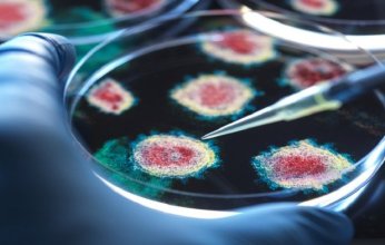 المخاوف تتزايد من جائحة جديدة تضرب العالم في العام الجديد.. ما الأسباب والتفاصيل؟