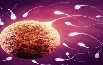 بريطانيا تخطط لزراعة الخلايا الجنسية في المختبرات