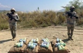 إحباط محاولة تهريب كمية من نبات القات المخدر بمنطقة جازان