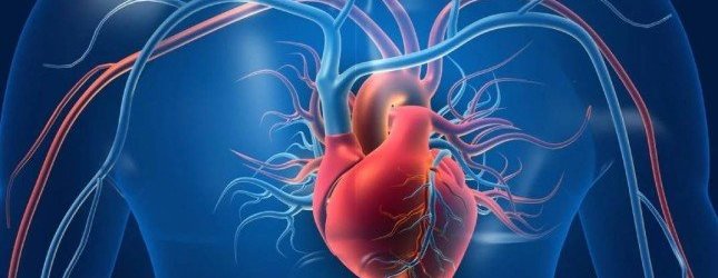 ضعف عضلة القلب قد يؤدي إلى تجمع السوائل بالرئتين.. متى يصبح الأمر خطيرًا؟ ضعف عضلة القلب قد يؤدي إلى تجمع السوائل بالرئتين.. متى يصبح الأمر خطيرًا؟