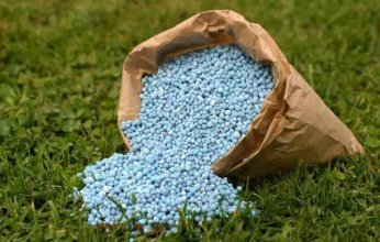 ناس للاستثمارات الإماراتية تتقدم بعرض للاستحواذ على "سماد مصر"